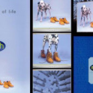 Schuh brand development marketing collateral by Ideas