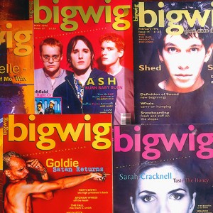 bigwig magazine covers