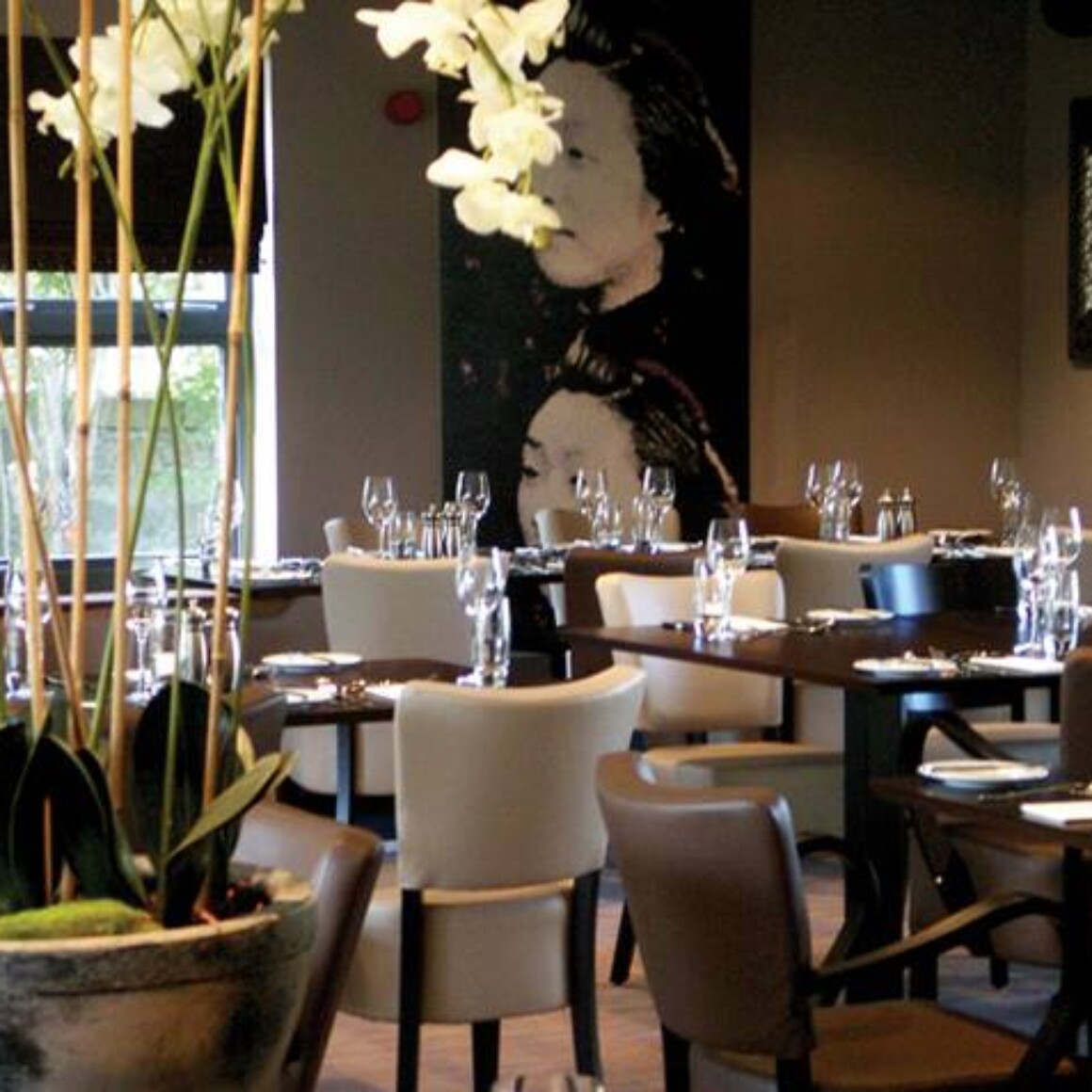 brand development, interior and collateral