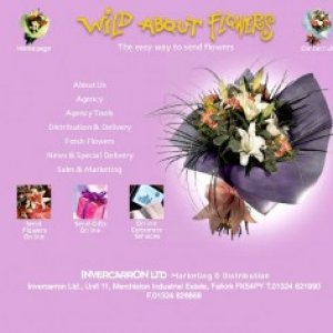 web design and website development by ideas.co.uk