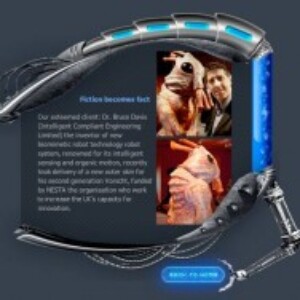 web design by Ideas.co.uk