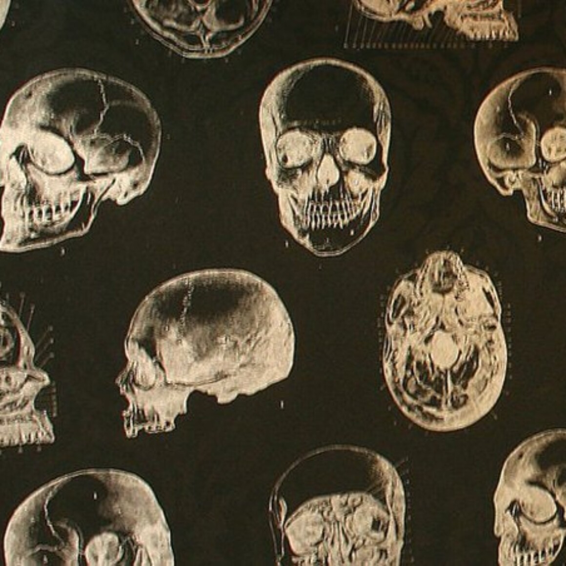 brand development, interior and collateral