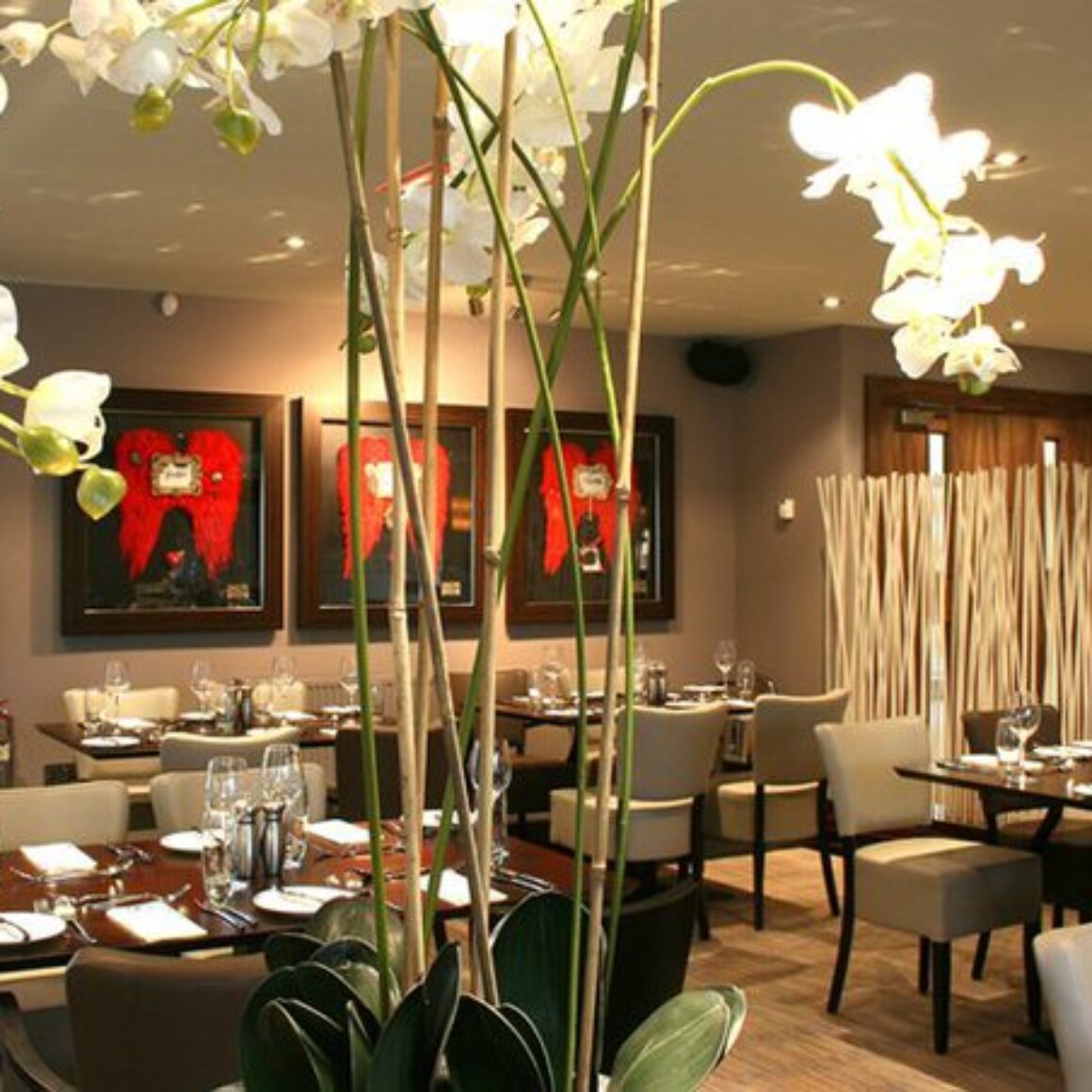 brand development, interior and collateral