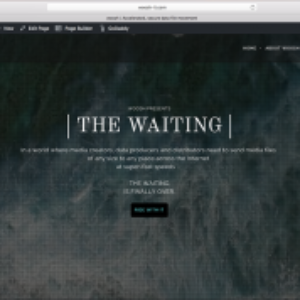 Brand development - woosh web site content by Ideas design Scotland