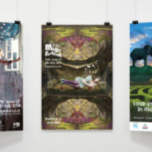 magicfest brand development by Ideas