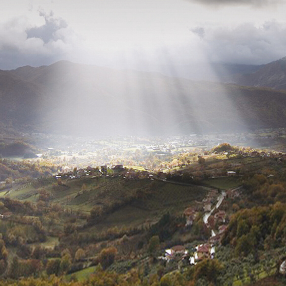 Sotto Le Stelle- Restoration and branding and marketing. Buildings and land as working farm and hotel.