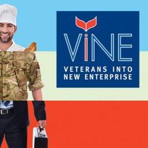 VINE assets by ideas.co.uk