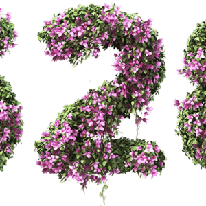528 flowers logo