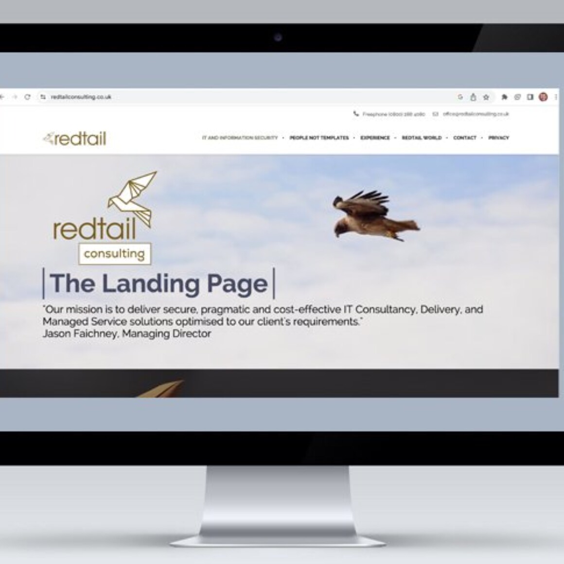 Redtail Consulting Branding web site development by ideas