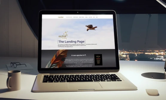 Redtail Consulting Branding - website landing page on laptop screen