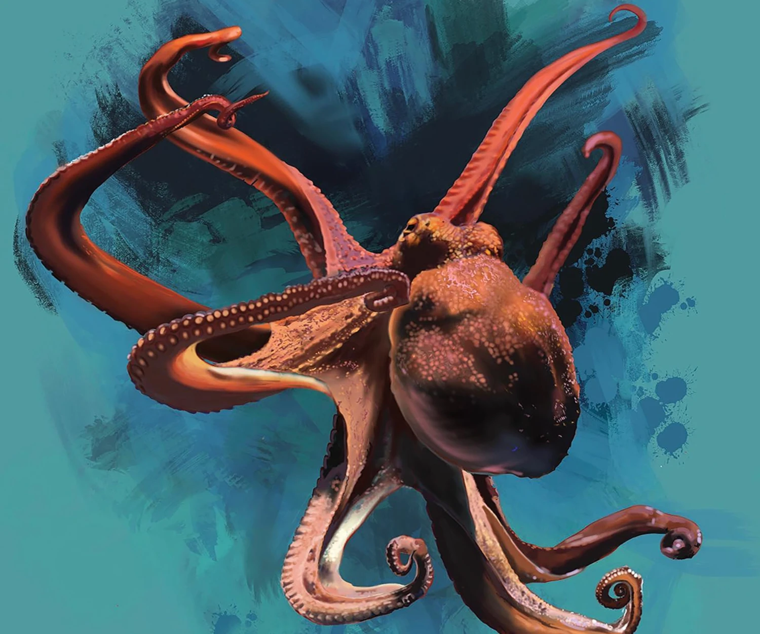 hand-drawn painted in Procreate 2022 from the design studio in Falkirk