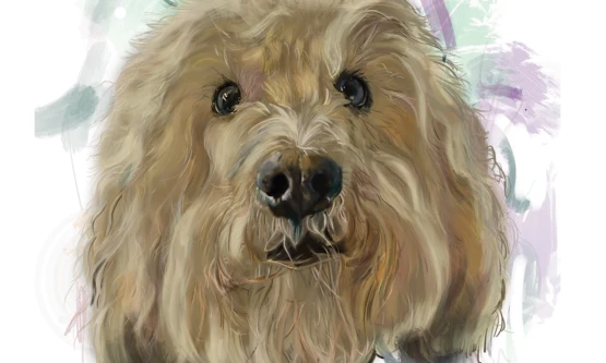 hand-drawn digital painting in Procreate from the design studio in Falkirk